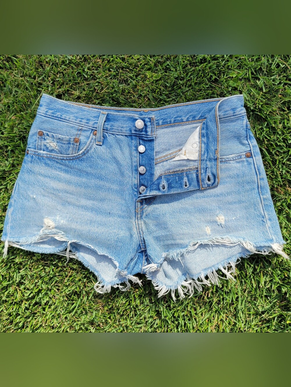 Levi's Premium 501s Button Front Denim Jean Shorts "Big E" Size 27 (31W) Raw Hem